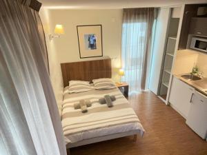 Appartements Studio Harmonie Confluence Lyon City et piscine chauffante : Appartement 1 Chambre