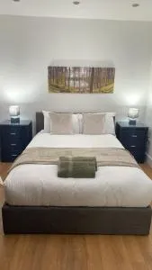 Cosy studio near London, ulez free - 萨顿