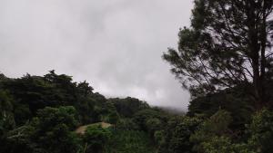 Casa Jaspe Monteverde - Balcón vista en Monteverde