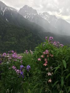 Grosse Ferienwohnung im Engadinerhaus