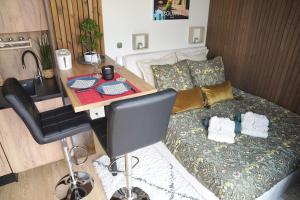 Maisons de vacances Gite Studio Alsa 15 avec Jacuzzi privatif : photos des chambres