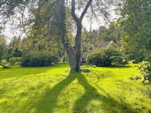 6 person holiday home in Brålanda-By Traum