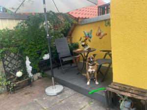 Bungalow in Wernigerode