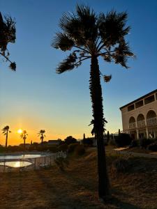 Appartements Studio tout confort : photos des chambres