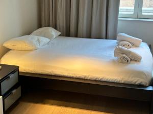 Luxurious Two Bedroom Apartment