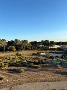 Appartements Studio tout confort : photos des chambres