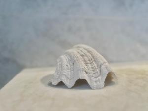 ROOF and SKY ROOM LUXURY in SORRENTO CENTER