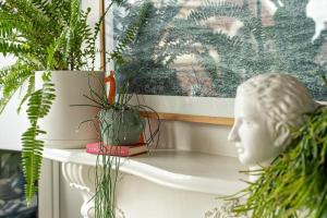 Charming Hideaway Apartment Near St Kilda