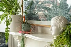 Charming Hideaway Apartment Near St Kilda - East St Kilda