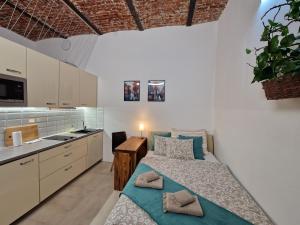 Liana Old Town Apartment