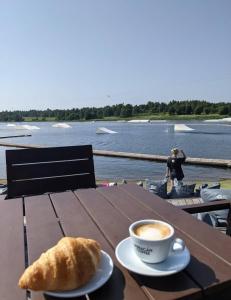 Cottage with fireplace and sauna