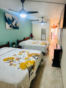 Departamento en Tequila Maria Concepcion