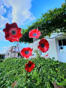 B&B / Chambres d'hotes Les Chambres de la Forge des Collines : photos des chambres