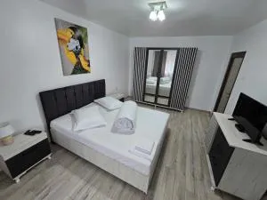 BlueBee Apartment - 奥勒什蒂耶