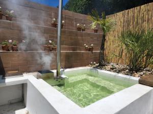 Buff and Fellow by the Bay