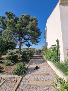 Villas Mas au Bord de L-etang : photos des chambres