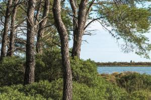 Villas Mas au Bord de L-etang : photos des chambres