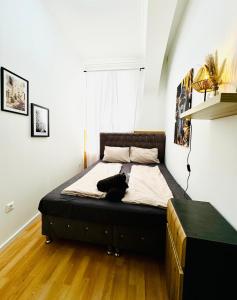 Comfy Rooms in a Shared Apt, 8Min to Rathausplatz