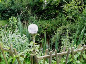 Maisons de vacances Maison du chat bleu : photos des chambres