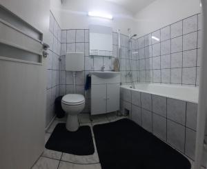 Studio Intim si Cochet