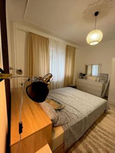 Modern apartment in central area