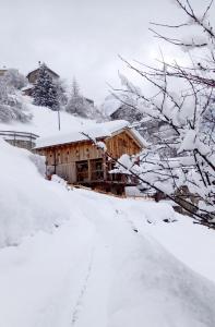 Chalet-Tabià al Sol montagna Dolomiti Pecol
