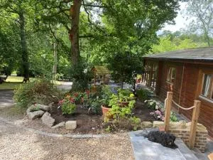 3 Bedroom Lodge Hotub pool in Horsley Surrey UK - West Clandon