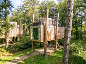 Award-Winning Forest Stay