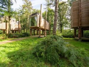 Award-Winning Forest Stay