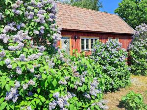 8 person holiday home in GOTLANDS TOFTA