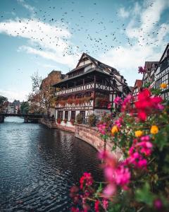 Appartements Vue degagee, Cuisine moderne et WIFI : photos des chambres