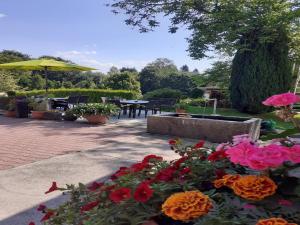 Apartment near the forest in Lichtenhain