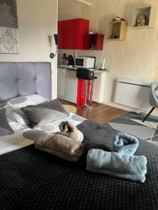 Appartements Studio aux pieds des montagnes : photos des chambres