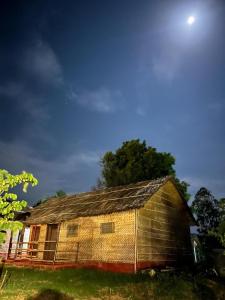 Banana Tree Home Stay