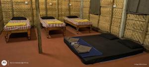 Banana Tree Home Stay