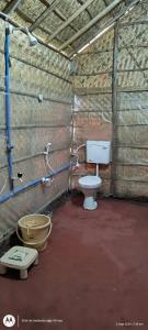 Banana Tree Home Stay