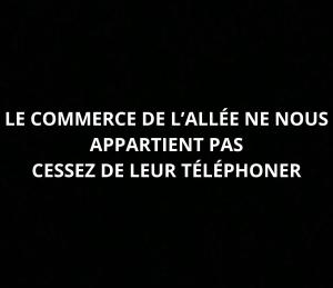 Appartements La Salamandre -appartement : Appartement 3 Chambres