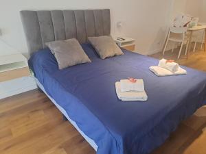 Belgrano amplio luminoso, cochera, WiFi, cerca River y Subte, 309