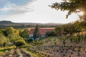 Kövirigó Családi Birtok - 格拉克斯兹