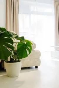 Rezidencia Lichnerova - Senec