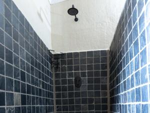 Amys Camp at the Kevin Richardson Foundation