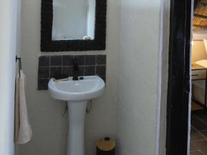 Amys Camp at the Kevin Richardson Foundation