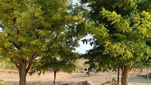 Casa Rural Abuela Dorotea