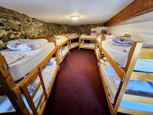Bed in 10-Bed Mixed Dormitory Room room in Old Mill Holiday Hostel