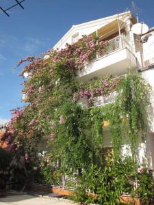 Apartment Graci 