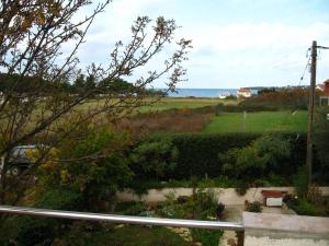 Apartment Branka