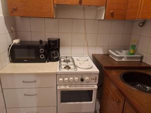 Apartment Branka 