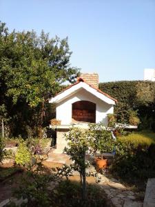 Apartment Branka 