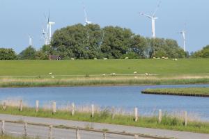 Ferienwohnungen in Neufeld