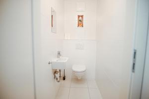 Danube Rooftop Apartment 15